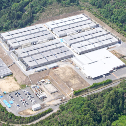 有限会社 伊勢農場