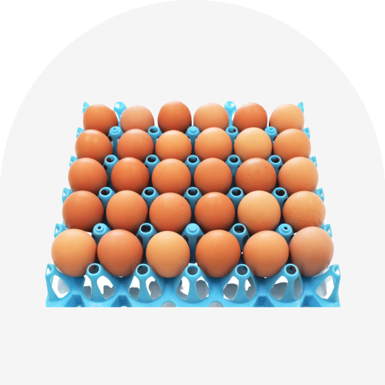 業務用赤たまご